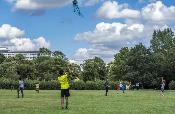 A boy in a green t-shirt with his back to the camera flies a kite in a park. The sky is blue with some clouds and in the background other people are looking up at the kite.