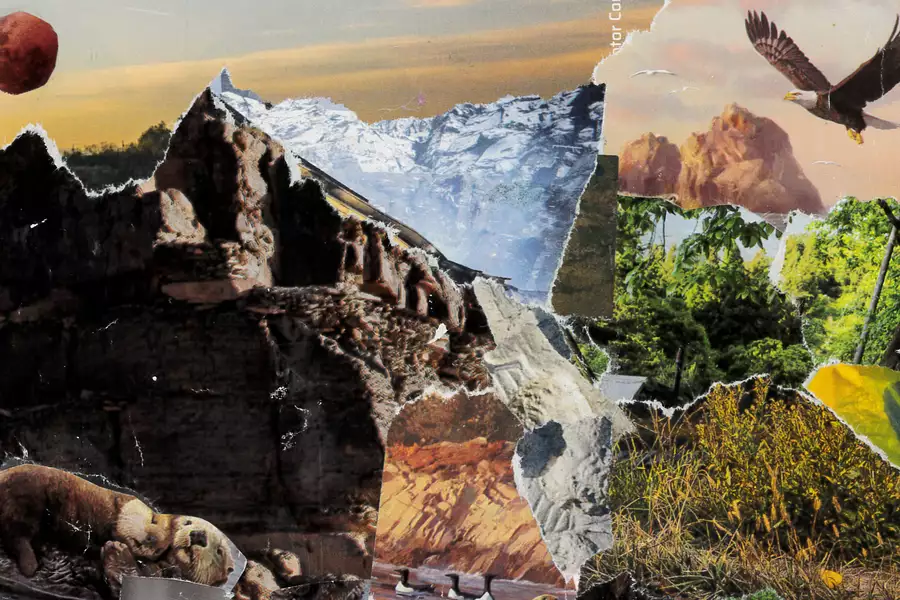 A collage of photographs of the natural world