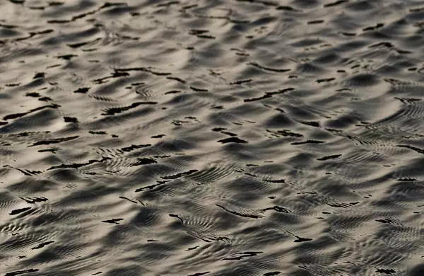 This image shows textured ripples on water. Light is reflecting off the water.